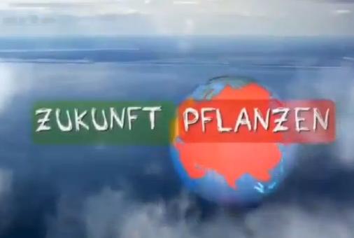 Zukunft pflanzen
